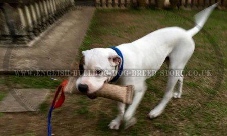 Jute Dog Bite Tug with Handle for Bulldog Puppy Grip Training