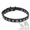 English Bulldog Collar for Walking with Silvery Stars and Studs