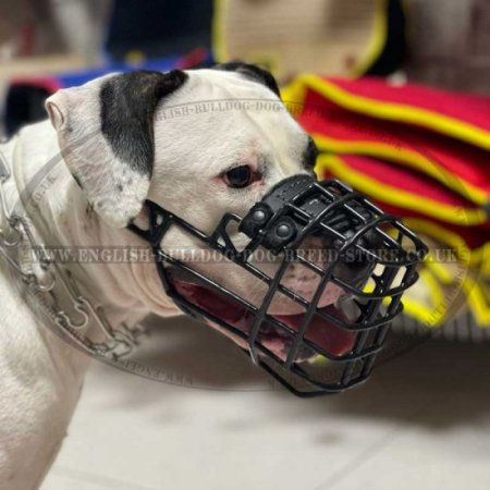 Wire Dog Muzzle Frostproof Rubber Covered for American Bulldog