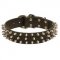 Three Rows Glossy Spiked Leather Dog Collar for English Bulldogs