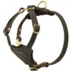 Bulldog Puppy Harness of Soft Leather for Safe Everyday Walking