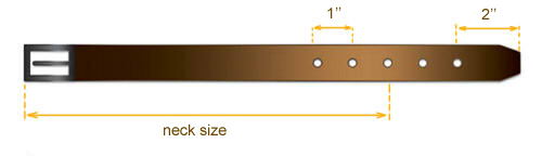 collar size diagram
