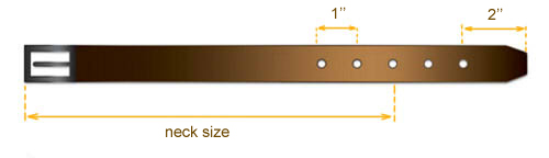 collar size diagram collar size diagram