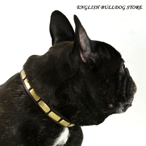 French Bulldog Dog Collar