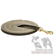 Tracking Lead for Loose Leash Walking of Black Leather (10 mm)