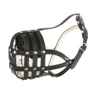 Leather Muzzle with Soft Lining for Bulldogs