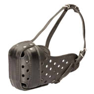Leather Muzzle for American Bulldog Training Leather Muzzle for American Bulldog Training