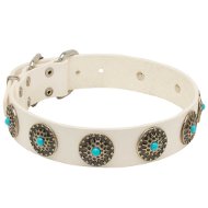 White Leather Dog Collar with Blue Stones for English Bulldog