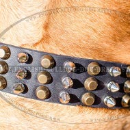 Bullmastiff Collar Leather Decorated, Spikes and Pyramids