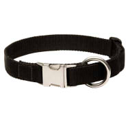 Adjustable Nylon Dog Collar with Solid Metal Buckle for Bulldog