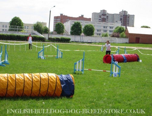 Dog Agility Obstacles