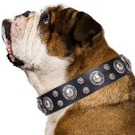 Dog Collar for English Bulldog "Vintage Necklace" Artisan Black