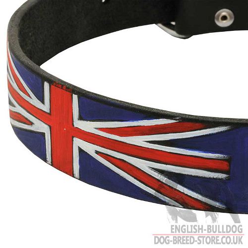 English Bulldog Dog Collar