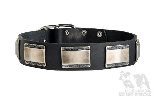 Bullmastiff Collar Leather
