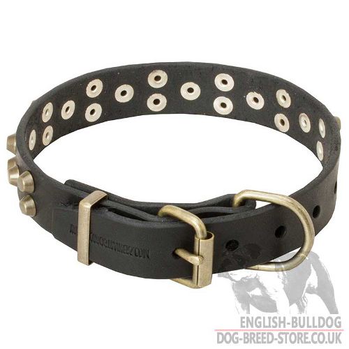 Stylish Dog Collar