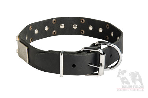 French Bulldog Leather Collar