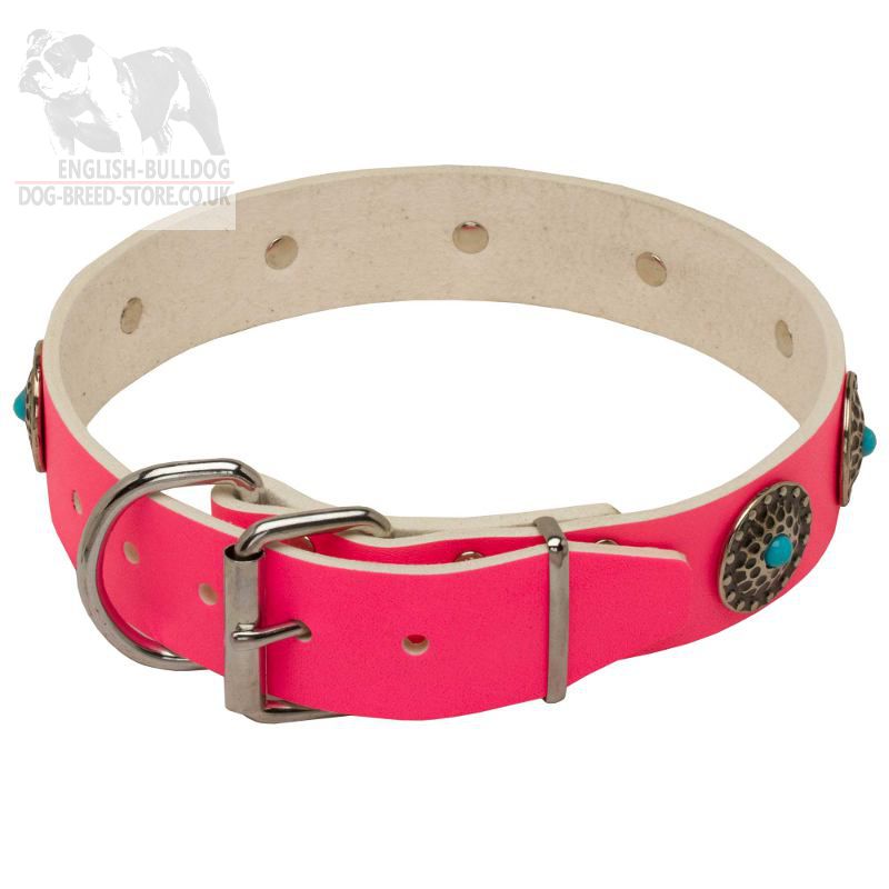 Pink Leather Dog Collar with Blue Stones for Female Bulldogs Pink Leather Dog Collar with Blue Stones for Female Bulldogs