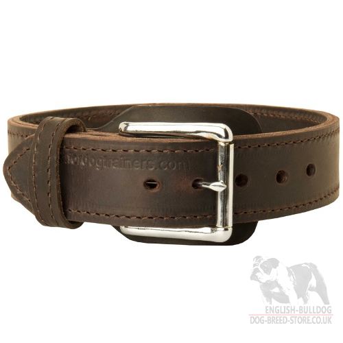 Leather Agitation Dog Collar