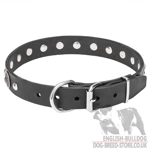 Beautiful Dog Collar Leather for Bulldog
