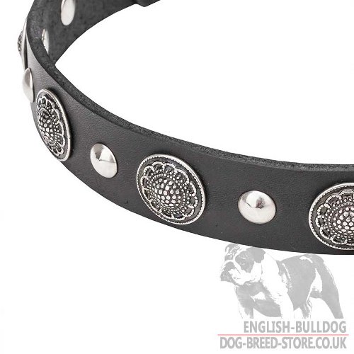 Attractive Dog Collar for Bulldog UK
