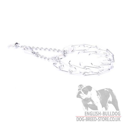 Bulldog Collar UK for Obedience