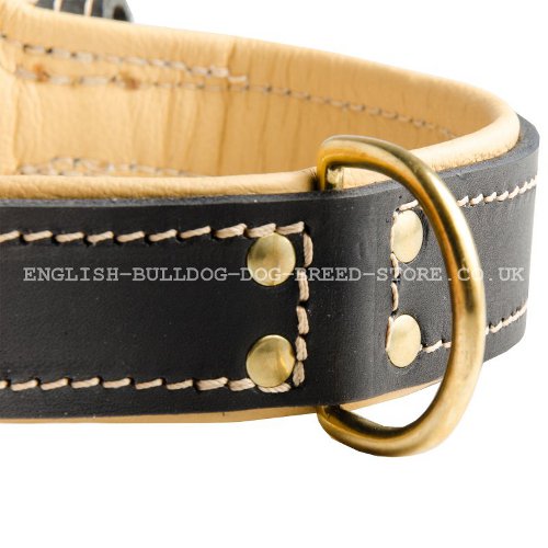 Leather Collar for Bulldog