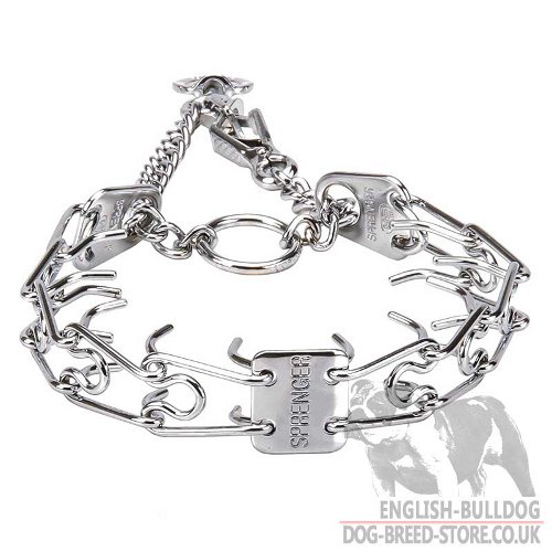 Martingale Prong Collar UK for Bulldog
