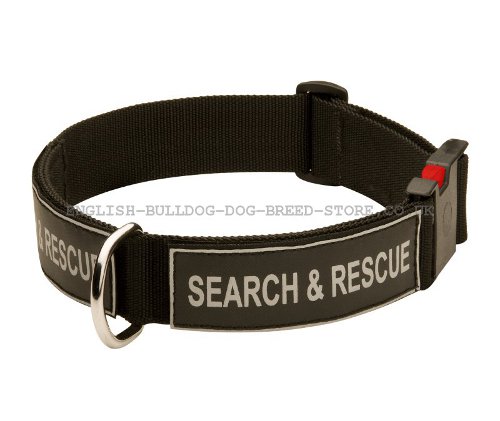 Nylon Dog Collar UK with Patches