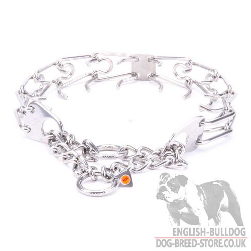 Bulldog Collar UK with Prongs