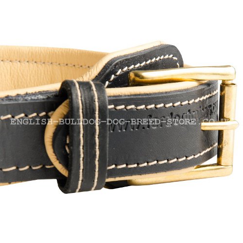 Leather Collars for Bulldogs