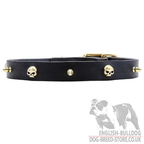 Leather Pirate Dog Collar