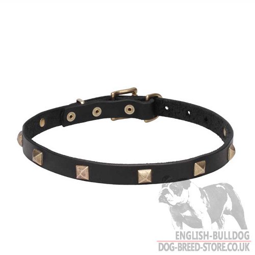 New Dog Collar UK