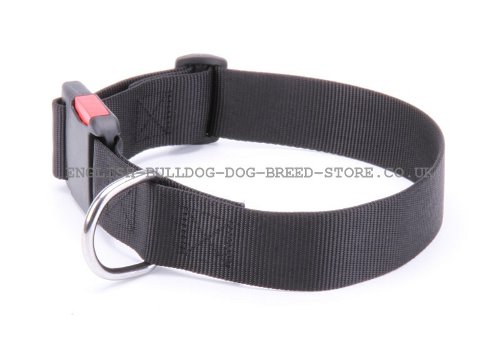 Nylon Dog Collar Adjustable