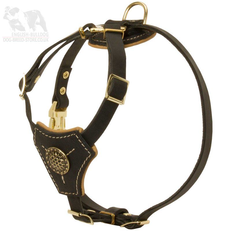 leather harness for dogs bulldog harness small harness uk leather harness for dogs bulldog harness small harness uk
