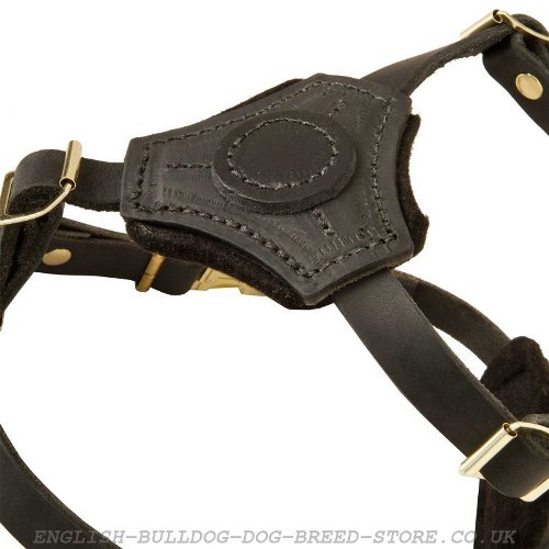 Small Leather Dog Harness UK