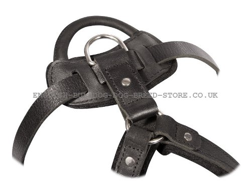 Leather Dog Harness with Handle UK for Bullmastiff