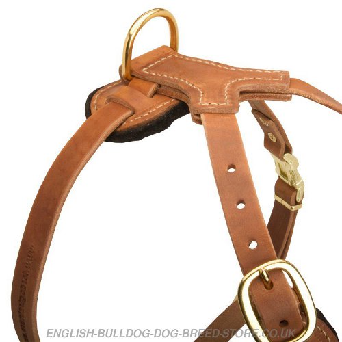 Leather Dog Harness Spiked