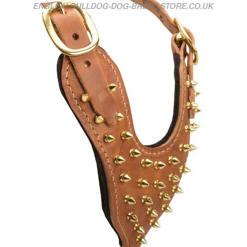 Leather Dog Harness Spikes