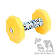 Dog Obedience Training Dumbbell with Two Weight Plates, 650 g