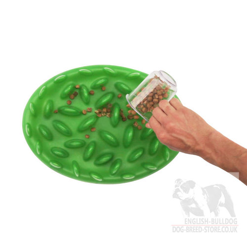 Green Interactive Dog Feeder