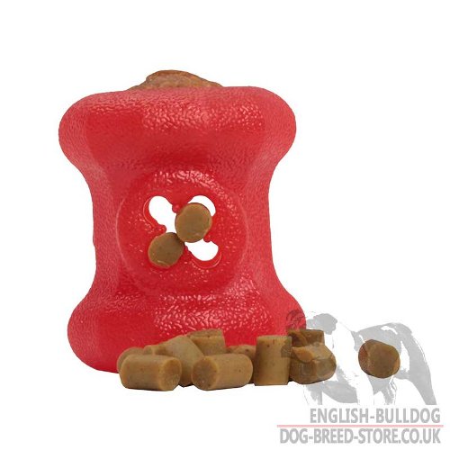 Bulldog Safe Chew Toys