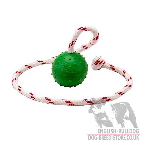 Best Toys for English Bulldog Puppy