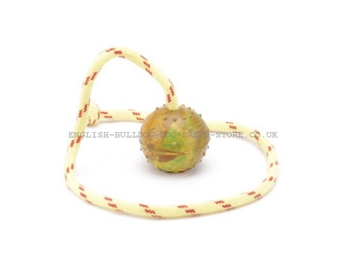 Rubber Dog Ball with Rope