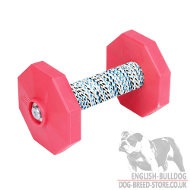 Dog Training Dumbbell Retrieve with Two Red Plates, 650 g