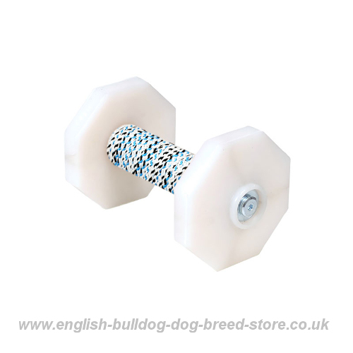 Training Dumbbels for Dogs UK