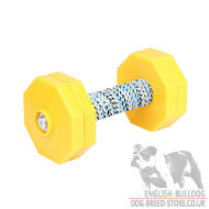 Dog Training Wooden Dumbbell for IGP and Retrieve Work