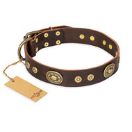 English Bulldog Collar "One-of-a-Kind" FDT Artisan Brown Leather