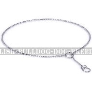 Bestseller! English Bulldog Collar for Dog Shows, Steel Chrome-Plated Chain