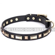 English Bulldog Collar by FDT Artisan "Golden Elegance"