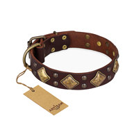 English Bulldog Collar "Golden Square" Brown Leather FDT Artisan
